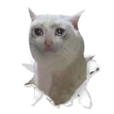 1753884190022187