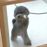 1706731193041