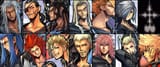 organization-xiii