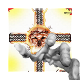 last thing whitenight sees