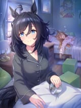 __eishin_flash_and_smart_falcon_umamusume__sample-6d45100bbdc720d7dd780de5ef74bb18