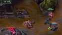 support coinflip victory_thumb.jpg