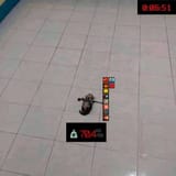 smol pmc