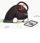 sadrio
