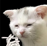1725677324421