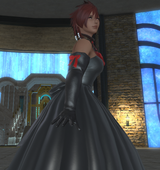 Highlander dress knights