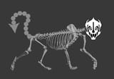 image_2025-08-06_174137671