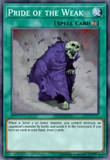 86016245