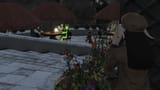 Weird Roe