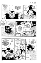 DB_243_2