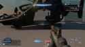falcon_thumb.jpg