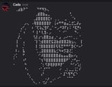 6000000