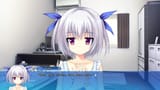 majiro.bin 340 Angelwingmussel