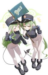 flag twins