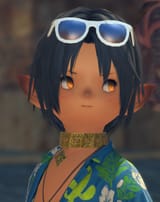 ffxiv_dx11_pBNYMoRPXJ