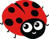 happy bug