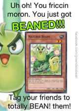 naturia bean;d