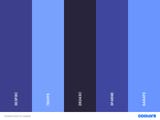 Coolors dot co output