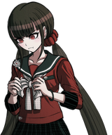 Maki (12)