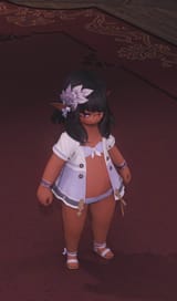 ffxiv_dx11_cEceBz_06-08-202553
