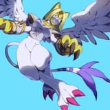 78470223_p15