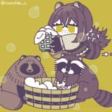 robin wash