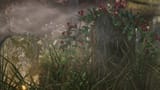 enb2025_8_6_23_38_16