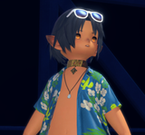 ffxiv_dx11_6CX4vP9cDr