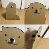 1494797106950