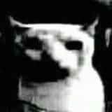 Gu8nTaEWsAAADqR