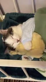 slep