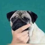 1491813328940