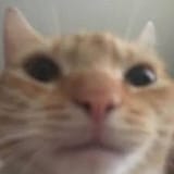 8284883