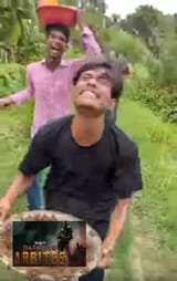 arb
