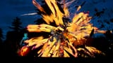 nitro explode