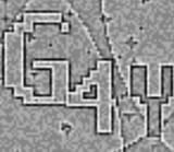 G4Y
