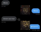 meow meow