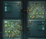 infestation