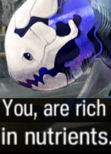 1717028937457990