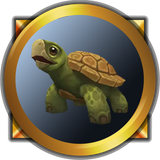 turtle1