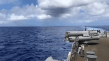 animated-gif-downsized-large-1553019446