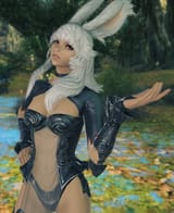 Viera