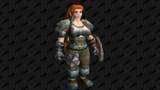 low level warrior