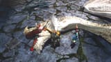 whitewhale2