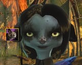 cat drop2222