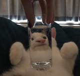 1593464243797