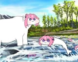 doroplanet