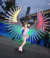 WINGSpro
