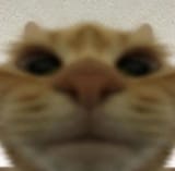 1579519980191