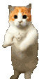 1754493082528